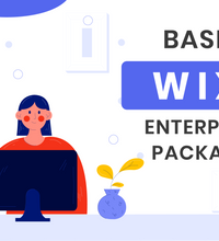 Basic Wix Packages
